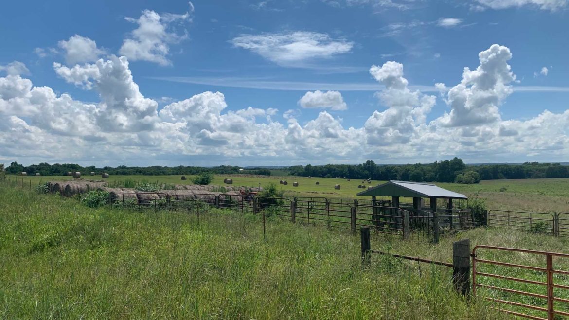Farmland in Douglas County.