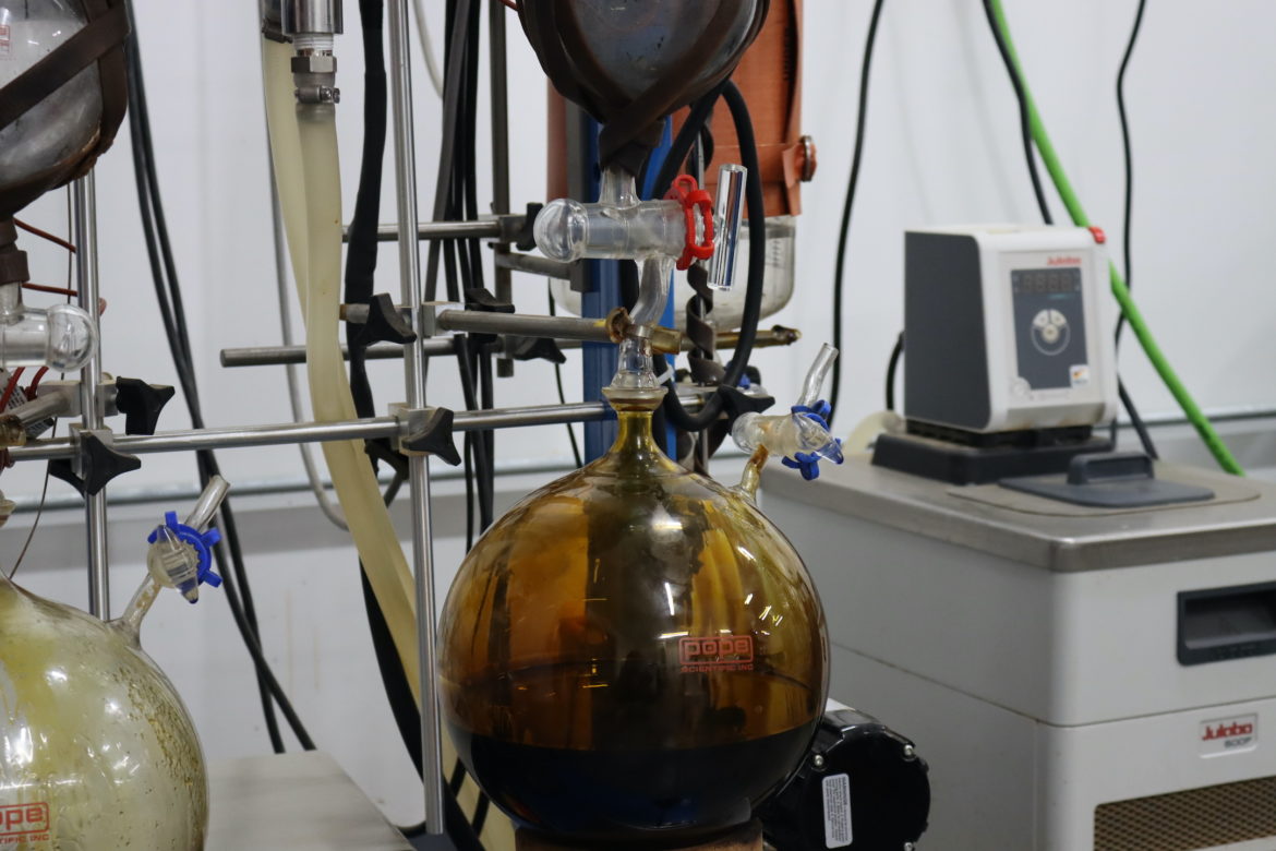 Once the CBD has been extracted and winterized, it goes into contraptions like this to be purified. Here Kancanna vacuums any remaining ethanol from the CBD extract.