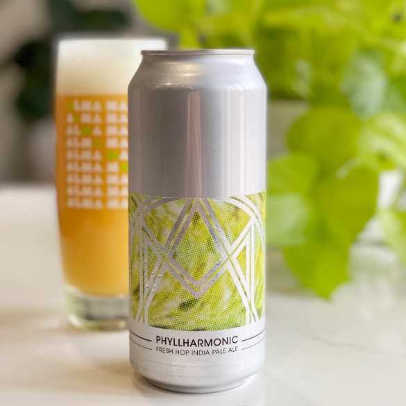Alma Mader Brewing's new Phyllharmonic IPA. (Courtesy | Alma Mader Brewing)