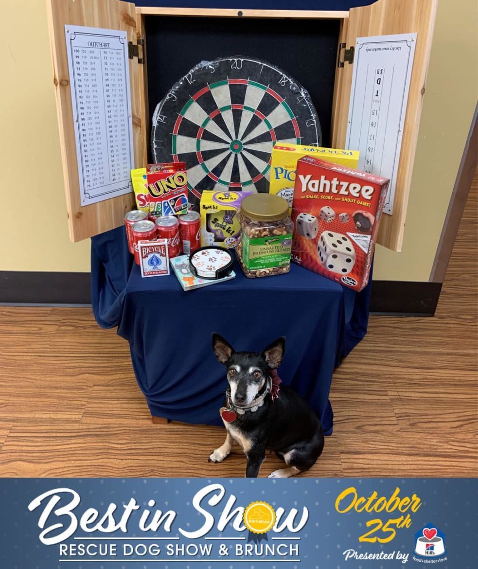 Best in Show raffle prizes