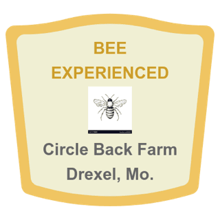 Bee Experienced lapel pin design
