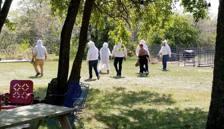 A group of "bee experience" agritourists