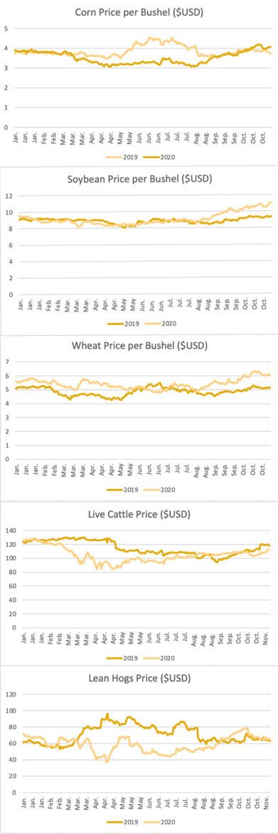 Commodity prices 2019-2020