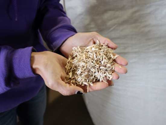 The processed hemp hurd looks just like wood chips. Not even the signature dank smell remains in the dried hemp.
