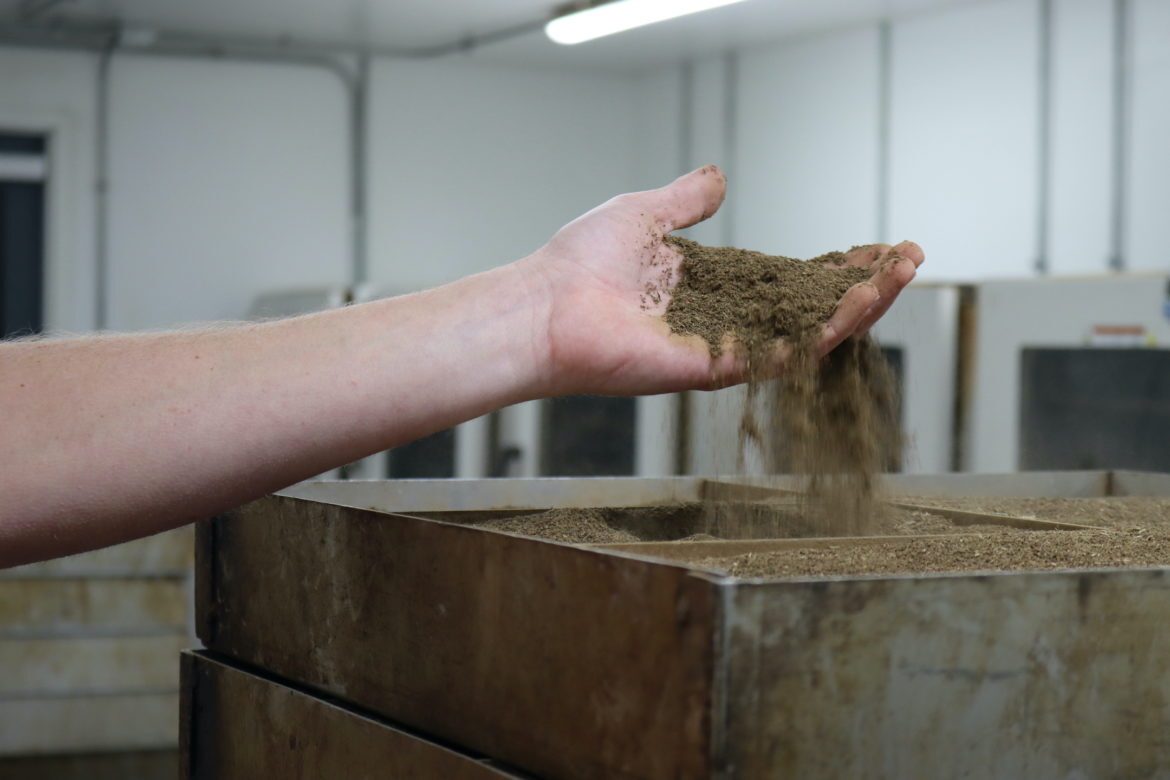 Ground and decarboxylated hemp at Kancanna.