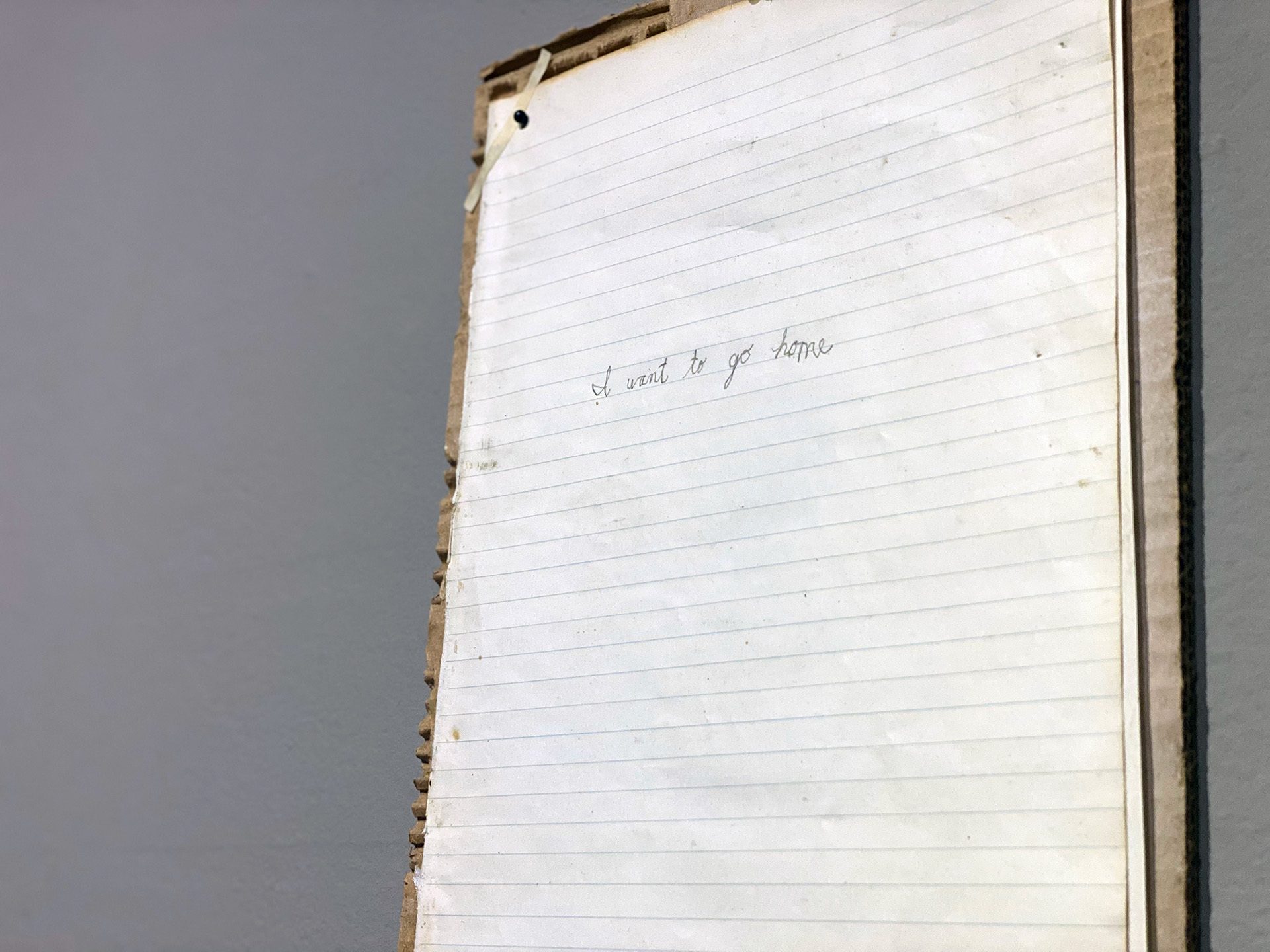 The words"I want to go home," handwritten in cursive captures a simple statement with multiple interpretations.